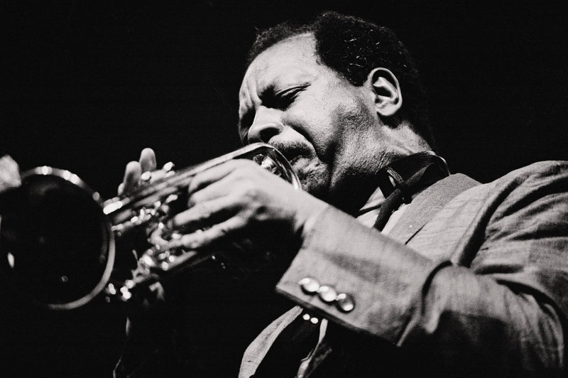 Illustration for article titled Playing With Ornette